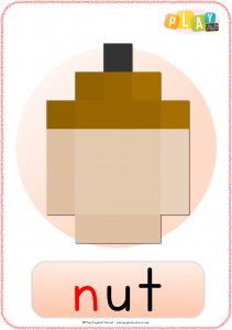 Flashcards N - Nut